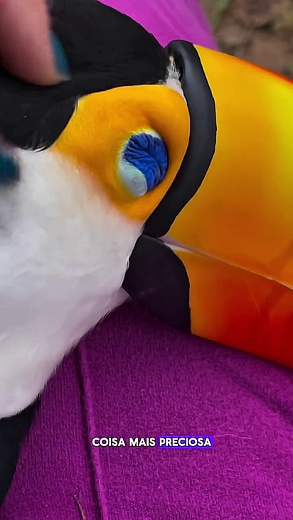 Ela ficou resmungando para que a tutora a deixasse dormir.