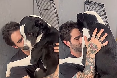 Este cara quer viver colado em mim: Tutor mostra que cão resgatado não quer sair do colo dele