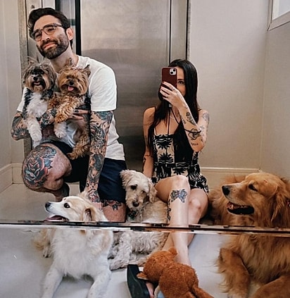 Alguns dos cães da ‘matilha’.