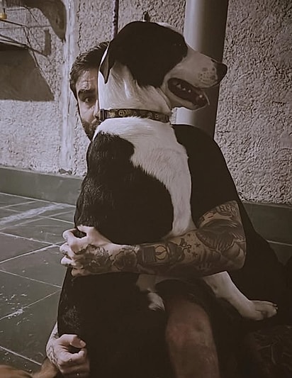 Nico é um cão velcro.