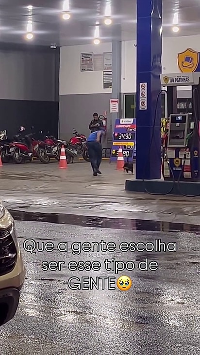 O animal parecia estar se divertindo.