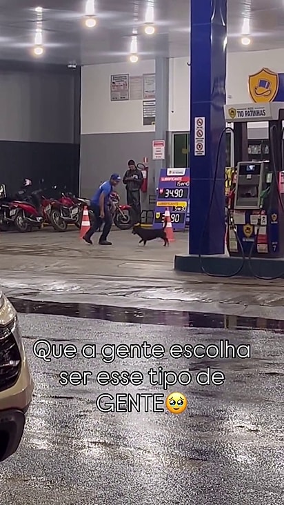O frentista acolheu o pet ao invés de expulsá-lo.
