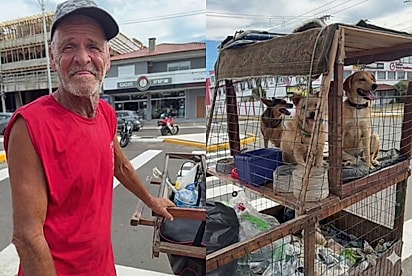 “Eles não andam no chão quente”: Catador cria carrinho com sombra e água para seus cães resgatados e gesto emociona