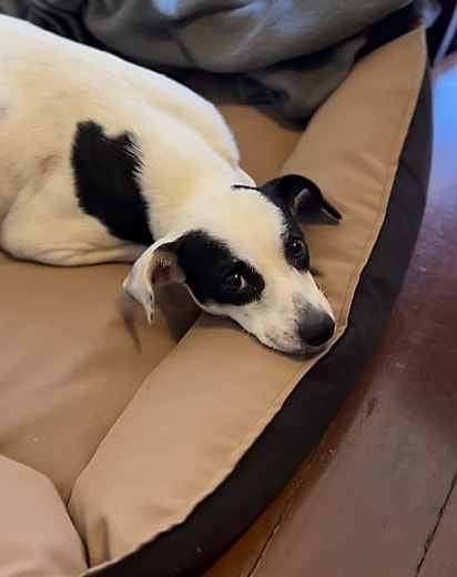 Beth está recebendo os cuidados necessários.