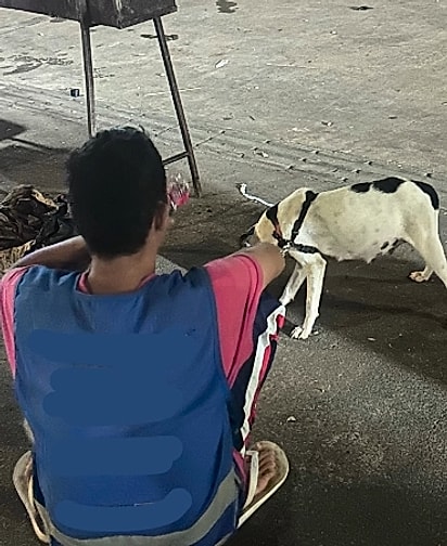 Uma pessoa em situação de rua estava com uma cachorrinha grávida.