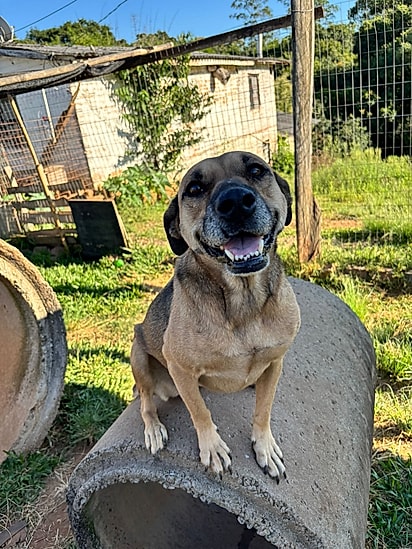Luiza ainda espera por uma família.