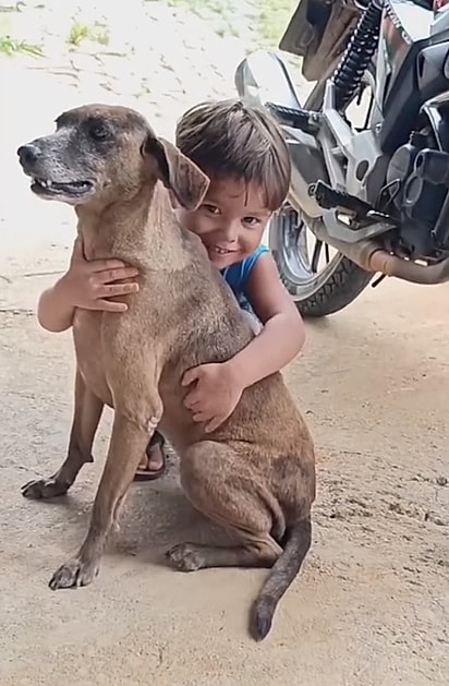 “Ele sempre amou e defendeu”, diz a mãe sobre a relação do garotinho com os animais. 