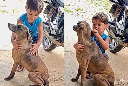 “É meu amor, minha Tiquinha”: Menino abraça cachorrinha da família e faz declaração que derrete corações