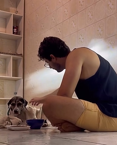 Heitor passou a cuidar do cão.