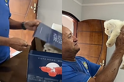 “Você voltou?”: pai que perdeu cão ganha ‘surpresa’ da filha e reação emociona milhões