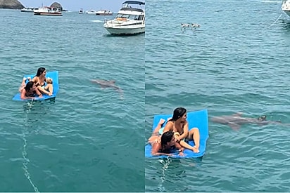 Amigas vivem momento tenso ao serem cercadas por tubarão em Noronha.