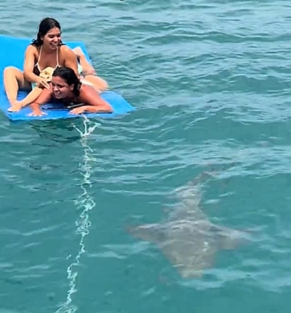 As amigas passaram por um verdadeiro susto ao se depararem com um tubarão durante o passeio.