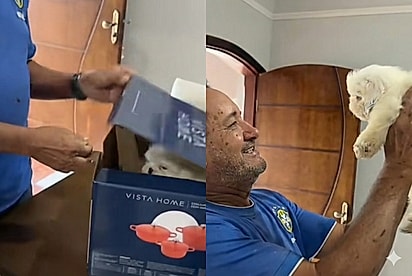 “Nove anos de amor, uma perda devastadora e uma caixa misteriosa”: Pai volta a sorrir após ver a surpresa preparada pela filha