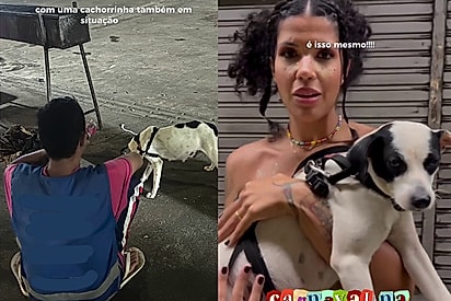 “Não estava nos meus planos”: Jovem sai para curtir bloquinho, mas tudo muda ao ver cachorrinha ‘supergrávida’ com morador de rua