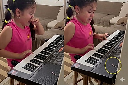 Menina emociona ao compor a ‘música mais triste do mundo’ após perder melhor amiga lagartixa: “Absurdamente performática”