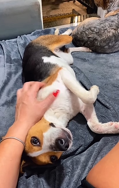 Tóia está recuperada. 