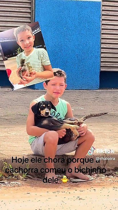 Apesar de ter ficado triste, o menino não abandonou a amiga.