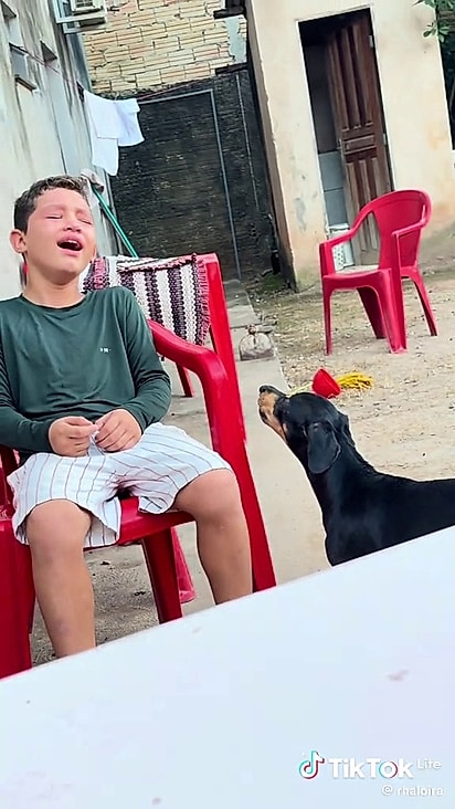 A mãe colocou o menino de castigo e registrou a cena de companheirismo.