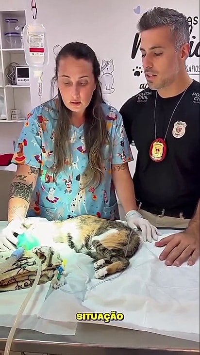 A gatinha foi resgatada e levada para atendimento médico.