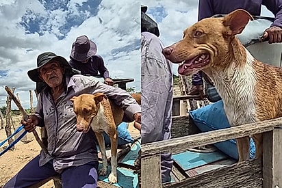 Homem simples, Seu José se emociona ao contar a história de seu cão Pitoco: “Ele só falta falar”