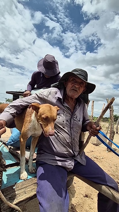 A iniciativa de resgatar o cão partiu do filho do tutor.