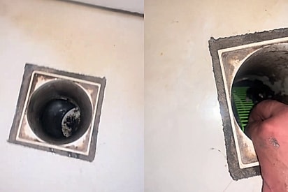 Homem surpreende ao colocar escadinha para resgatar seu pet preso no ralo