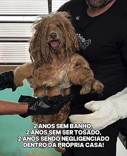 Por anos, Caramelinho foi negligenciado por sua família.