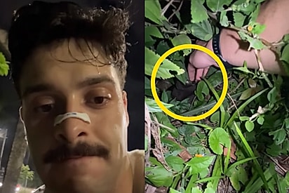 Jovem ouve miado no mangue durante corrida noturno e atitude muda destino de filhote.