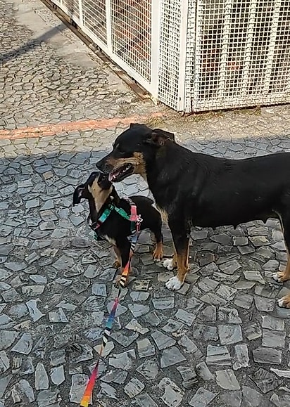 Mãe e filha foram adotadas juntas.