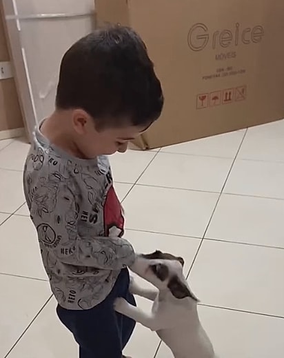 Théo conhecendo Sky. 