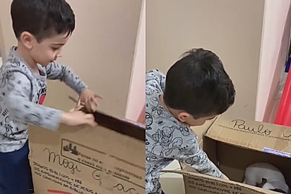 “Oi, bom dia!”: menininho ganha sua ‘primeira melhor amiga’ e reação encanta