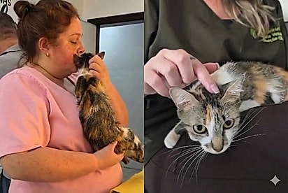 (Foto: Instagram / @associacaogfa)