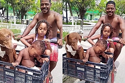 “Cachorro misturado com menino, menino misturado com areia”: Família viraliza com volta cansada e inesquecível da praia