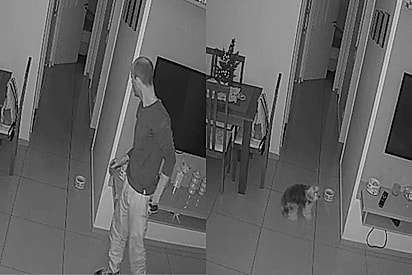 Yorkshire ‘escandalosa’ frustra invasão de ladrão que escalou cinco andares