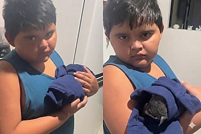“Pai solo e sem rede de apoio”: Exausto, menino viraliza ao cuidar com carinho de filhote que não queria dormir à noite