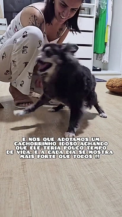 Ele foi resgatado em Canoas, após as enchentes do RS.