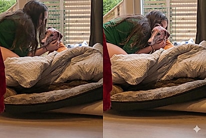 “Ela não vê cicatrizes, vê apenas a melhor amiga”: Mãe se emociona ao ver filha cuidando de cadelinha que escapou de incêndio