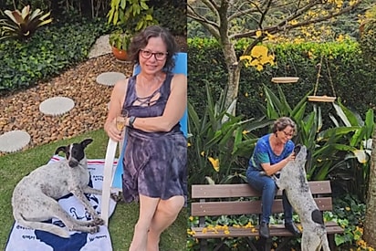 Todos os irmãos de Luffy encontraram lares maravilhosos.