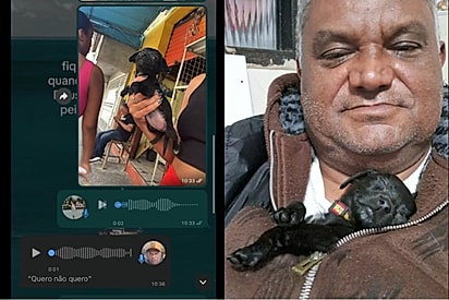 Pai que disse “não quero, não” — minutos depois já escondia filhote dentro do casaco para proteger do frio.