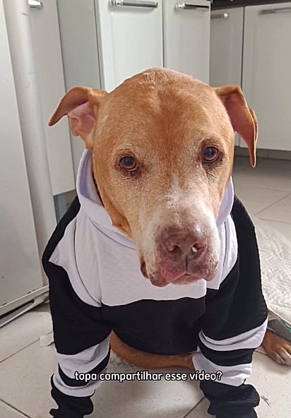 Depois de muita espera, Hulk finalmente conheceu o amor de verdade.