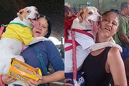 Cachorrinha acompanha tutora na Ceasa e vira xodó dos clientes.