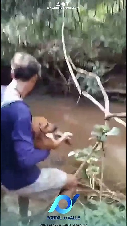 Os amigos levaram a cachorrinha embora.