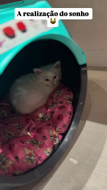 Neve chegou para ser a companheira de Manu.