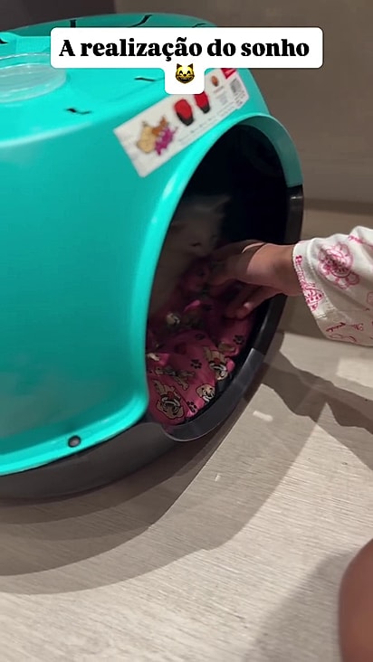 As duas se deram bem desde a primeira conexão.