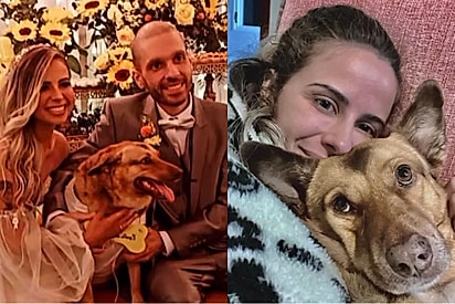 “Ela ficou quando o mundo desabou”: Cachorrinha adotada vira apoio no momento mais difícil da tutora