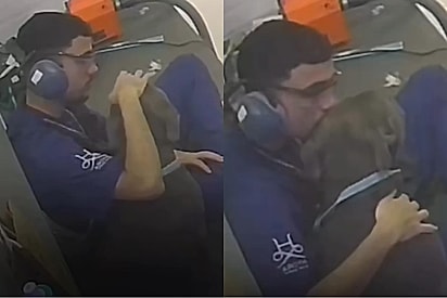 “Ele não é bravo, ele tem medo”: Banho revela a verdade sobre american bully julgado pela aparência.