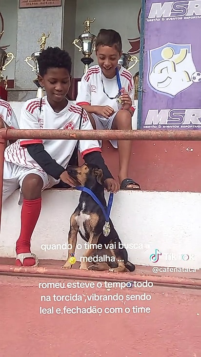 O cão está sempre apoiando o time.