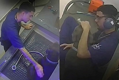 Câmera revela como petshop trata american bully que era julgado pela aparência: “Ele não é bravo, ele é medroso”