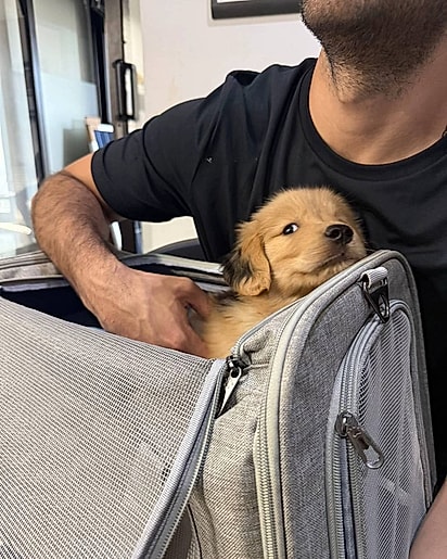 Bernardo conquistou a internet com as suas manchinhas pretas.