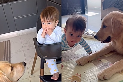 Davi e Lua cresceram juntos.